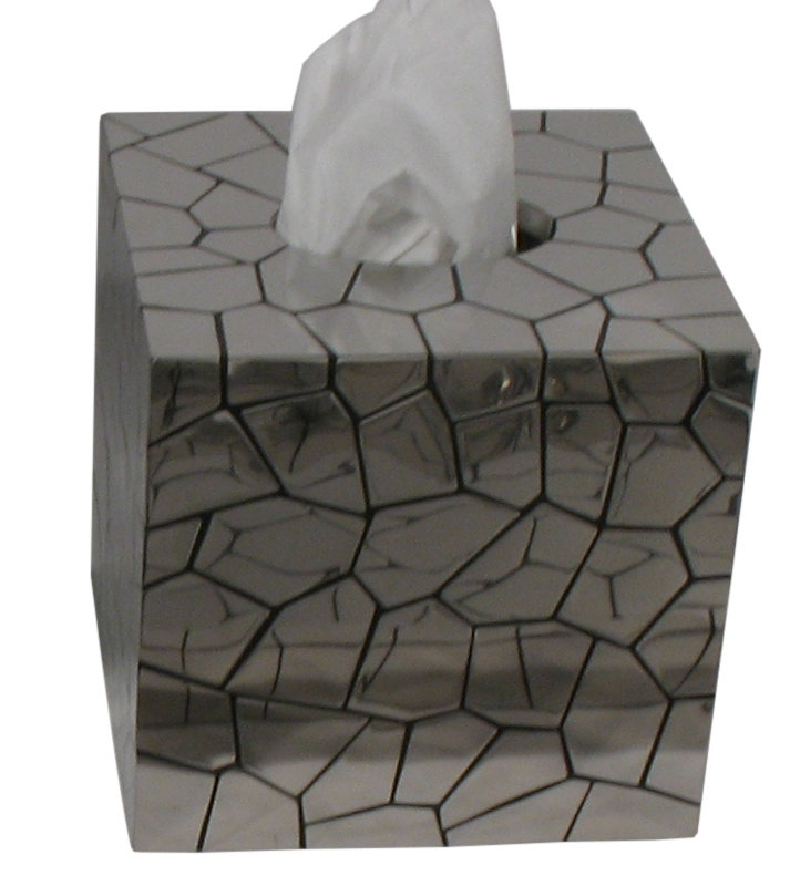 Chameleon Tissue Box Cover