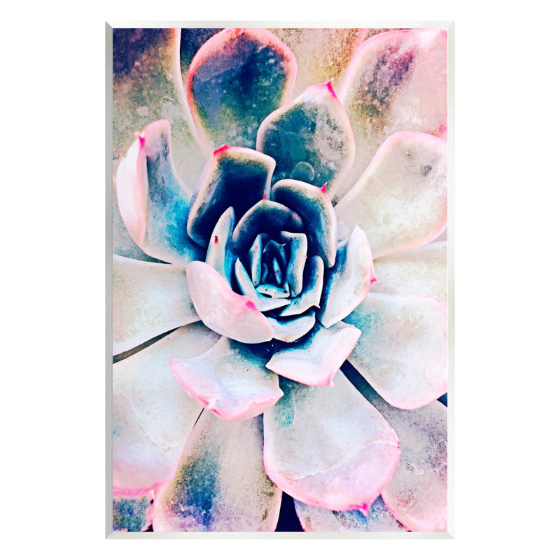Modern Botanical Succulent Wall Plaque in Multicolor MDF Wood