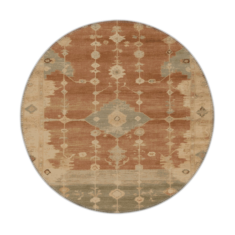 Tapis intérieur et extérieur brun Overdyed, Rond 5 pi