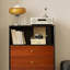 Armoire de rangement décorative rétro noire et brune