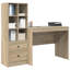 Desk With Storage With Shelf 2 Pcs 100 X 50 X 76 Cm-833828523