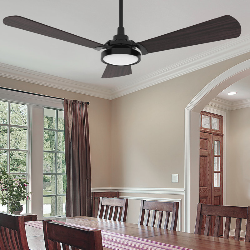 56" 3 - Blade LED Smart Ceiling Fan with  Light, Black, Black