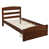Brown Duplicate is out of stock
