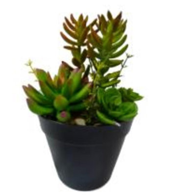 Arrangement de plantes grasses artificielles mixtes vertes et rouges de 8 po