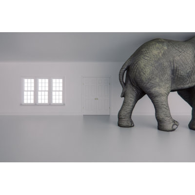 Éléphant dans la chambre par Gremlin