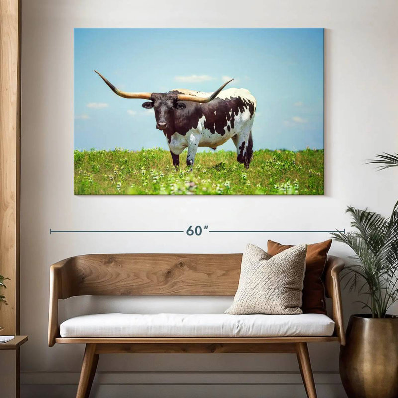 Brampt Longhorn Steer, 34" H x 51" W