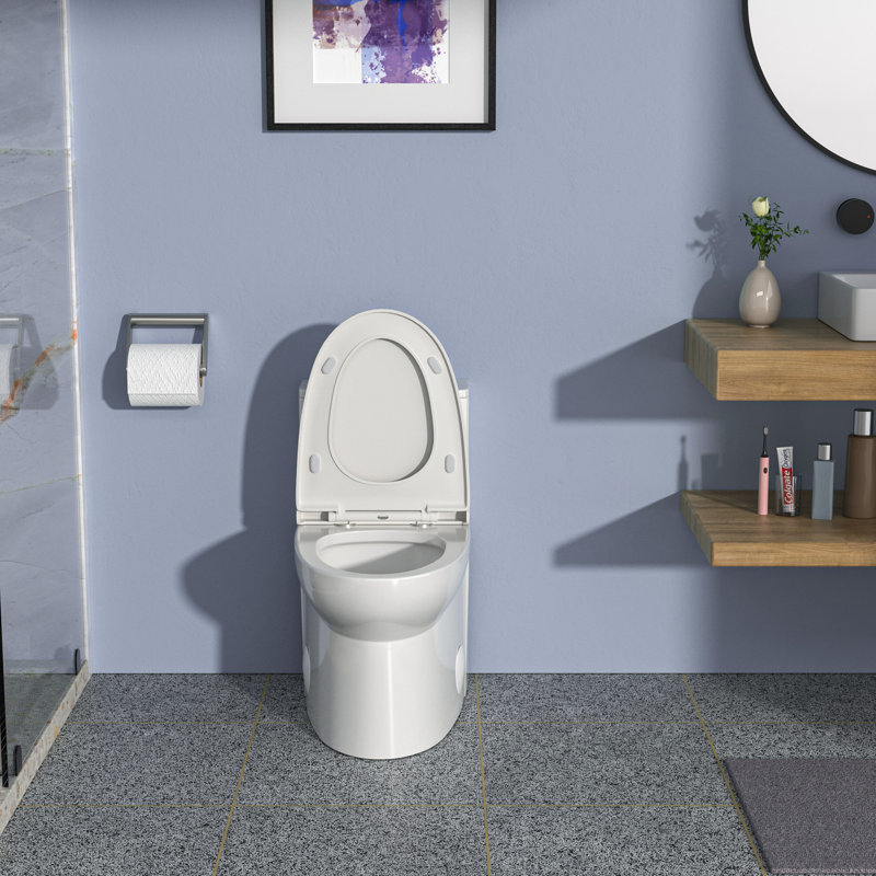 Toilette une pièce Rainlex RX-T31W