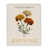 Giclée encadrée blanc bord de mer sélectionné