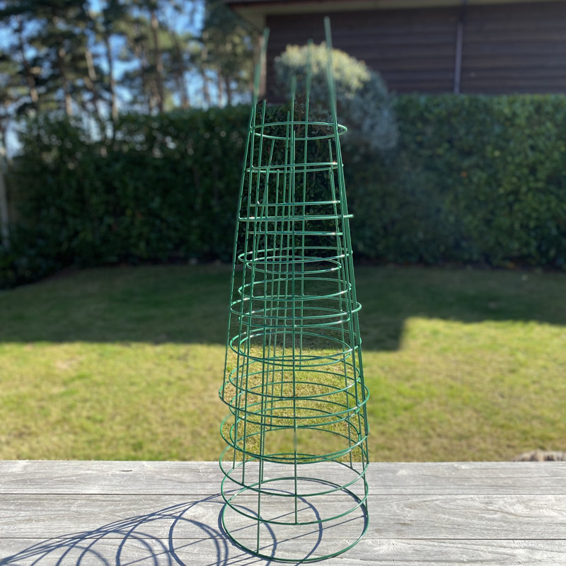 Aieden Metal Weather Resistant Plant Support, 75 x 32 x 32 cm