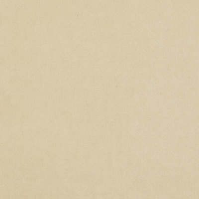 Velvet Encyclopedia I Fabric