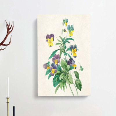 Wild Pansy Flowers by Pierre-Joseph Redoute - Wrapped Canvas