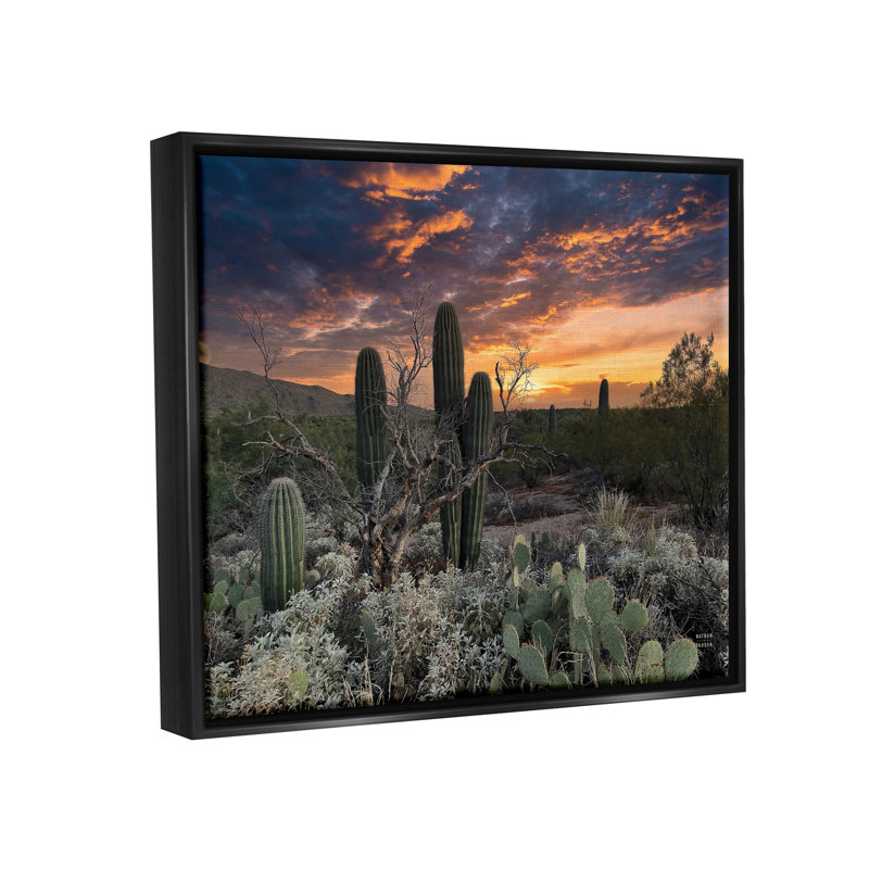 Arid Desert Cactus Sunset - Photographie sur toile à cadre flottant, H 25 po x l 31 po x P 1,7 po, Cadre flottant gris lustré