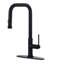 ARCORA Pull Down Kitchen Faucet-93513399