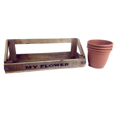 Dash Wall Planter