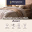 Sleepeezee Sumptuous Cotton 10.5 Tog Duvet-124567142