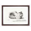 The Cat by Jean Bernard - Picture Frame Art Print-55639731-55639733