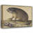 "A Marmot with a Branch of Plums" by  Jacopo Ligozzi - Gallery Wrap Canvas Wall Art-473650436
