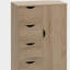 Armoire de rangement pour salle de bain avec 4 tiroirs et porte