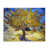 Wrapped Canvas