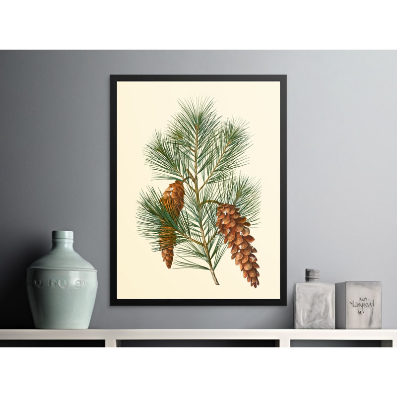 Conlin Single Picture Frame Print, 76.2 cm H x 50.8 cm W