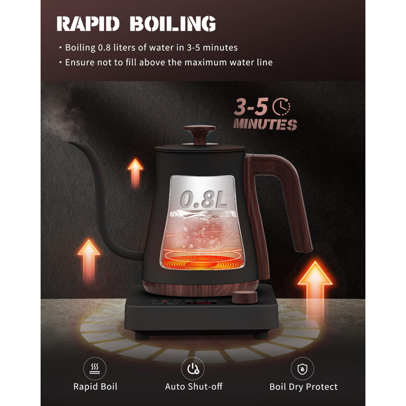 Matte Black Stainless Steel Electric Gooseneck Kettle with LED Display