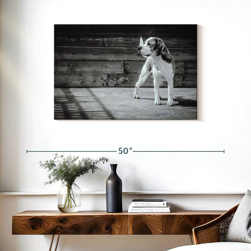 Beagle Brampt monochrome, H 24 po x l 36 po