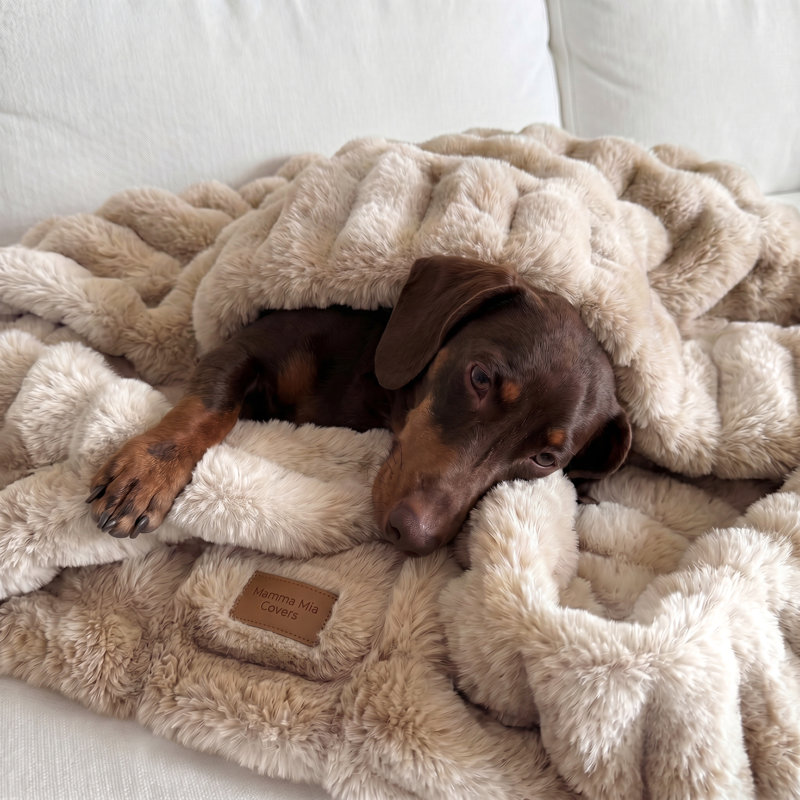 Jeté luxueux en fausse fourrure réversible en peluche réversible certifié Oeko-tex 50 po x 60 po, 50 po x 60 po, Caramel