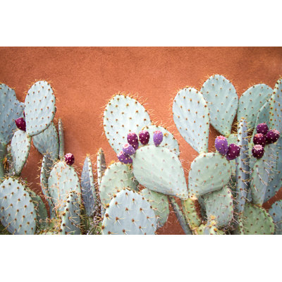 Prickly Pear Cactus - Wrapped Canvas Print