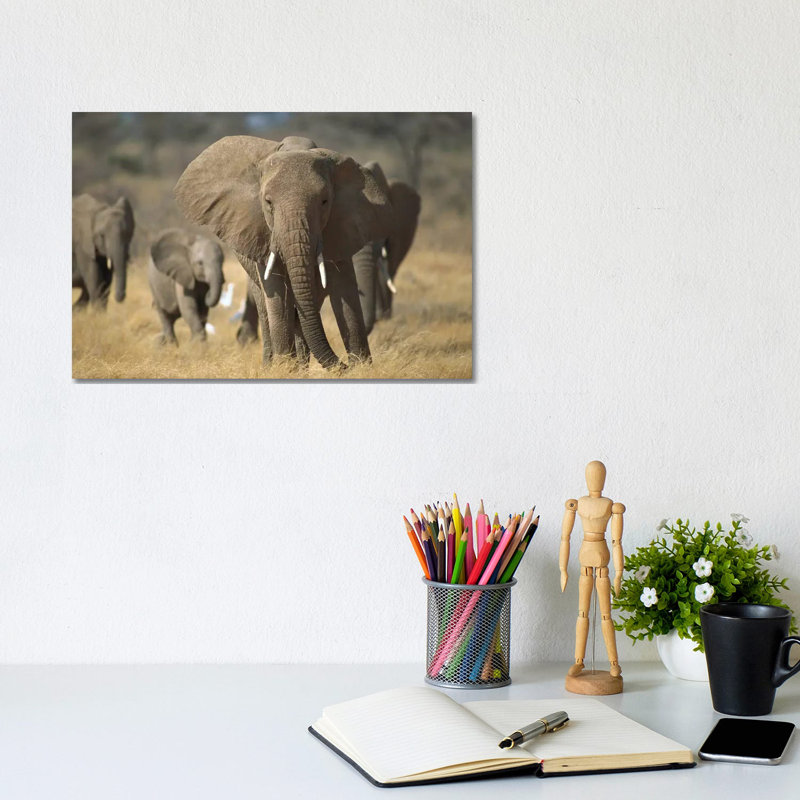African Elephant Group, Vulnerable, Samburu National Reserve, Kenya 1 Piece Wrapped Canvas Wall Art, 20.32 cm H x 30.48 cm W