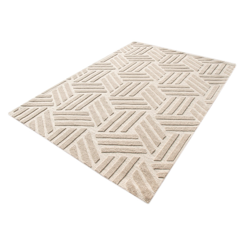 Marcenia Abstract Hand Woven Area Rug, Rectangle 120 x 170cm