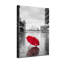 Parasol rouge Plants & Flowers en noir et blanc-1092585140