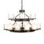 16 - Light Chandelier