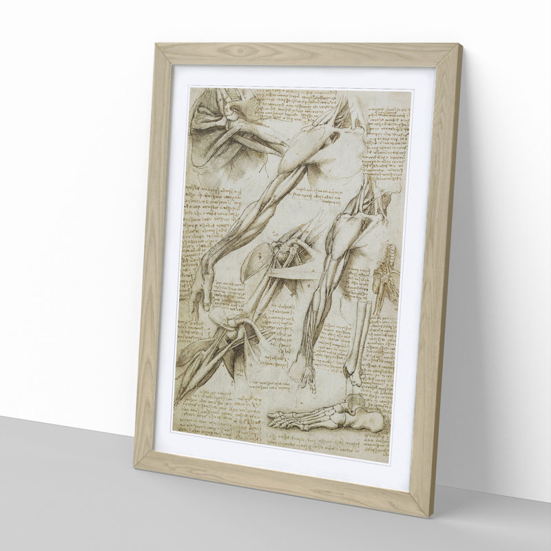 Human Anatomy Vol.1 by Leonardo Da Vinci - Framed Print, Oak Framed, 65cm H x 48cm W x 2cm D