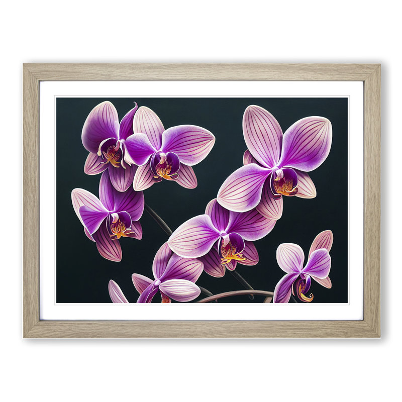 Evolving Orchid Flowers - Framed Print, 25cm H x 34cm W x 2cm D, Oak