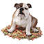 Animals Figurines & Sculptures