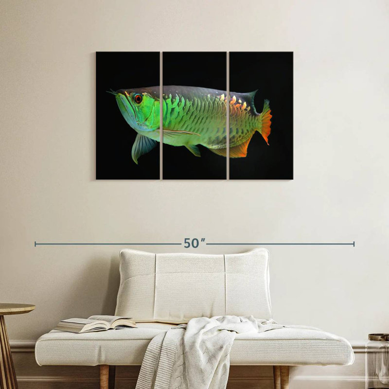 Poisson arowana, H 24 po x l 38 po