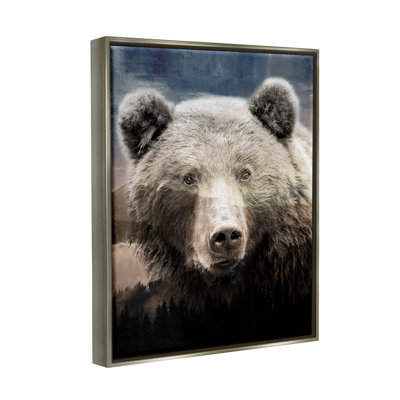 " Grizzly Bear Face Portrait "