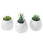 Wall Planter