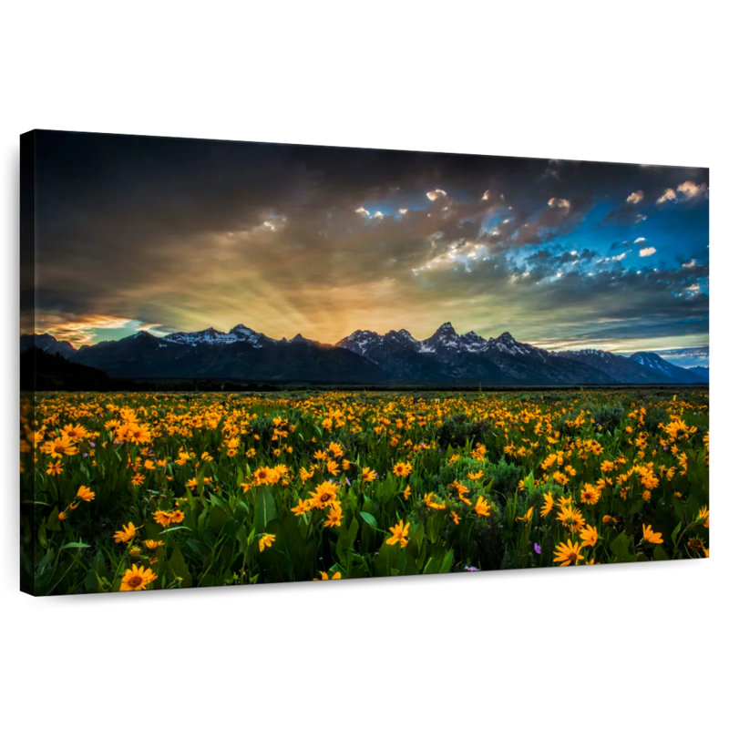 Rayons de soleil Alvord Grand Teton, H 8 po x l 12 po
