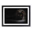 Black Cat with Yellow Eyes - Picture Frame Art Print-55512490-55512491