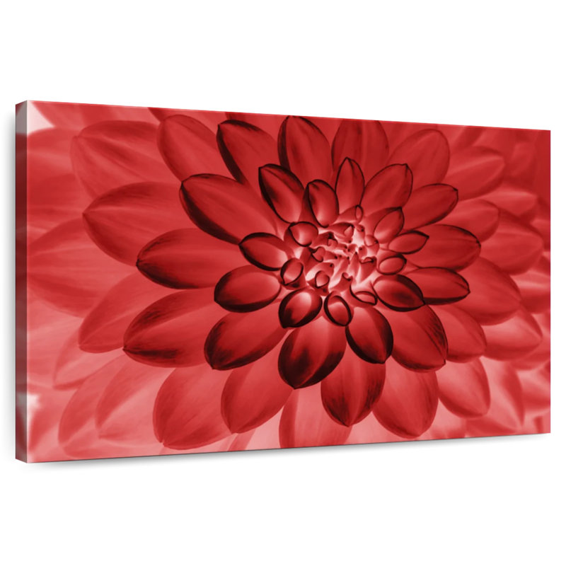 Dahlia rouge translucide