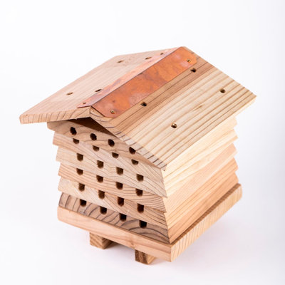 Beekeeping