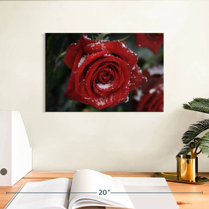 Harnek Winter Red Rose, 8" H x 12" W