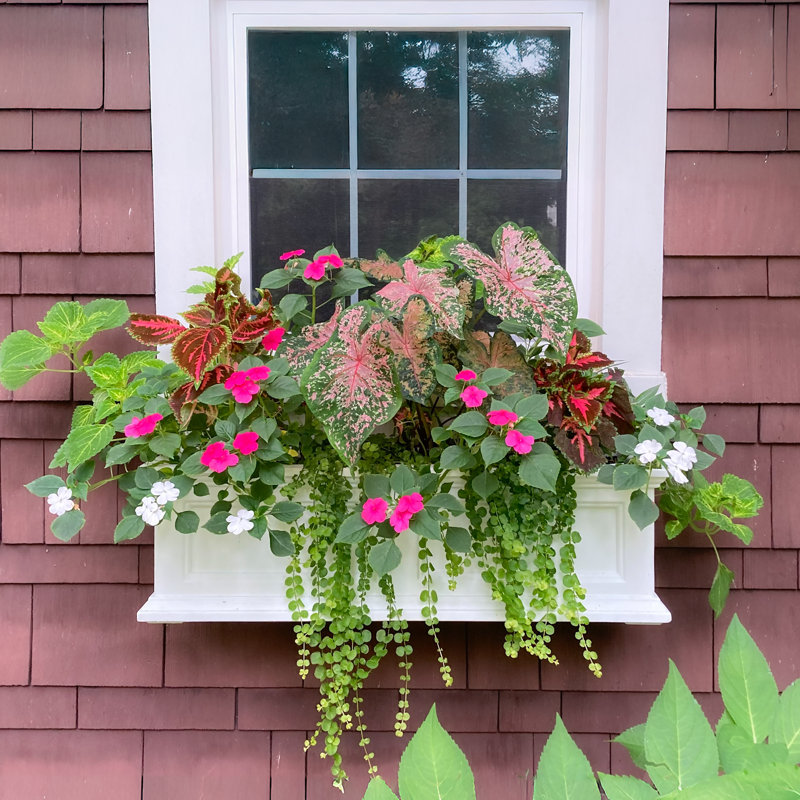 Anastasiya Resin Window Box Planter with Water Reservoir, 36"