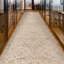 Hand Knotted Area Rug in Beige And Multi-668186452
