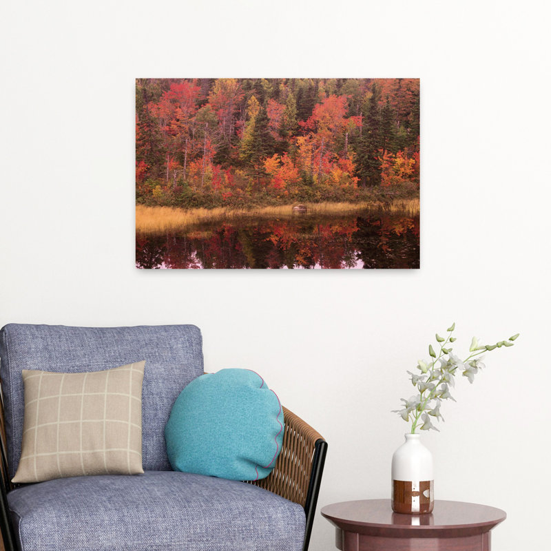 Forêt d'automne, Terre-Neuve, Canada, H 16 po x l 24 po