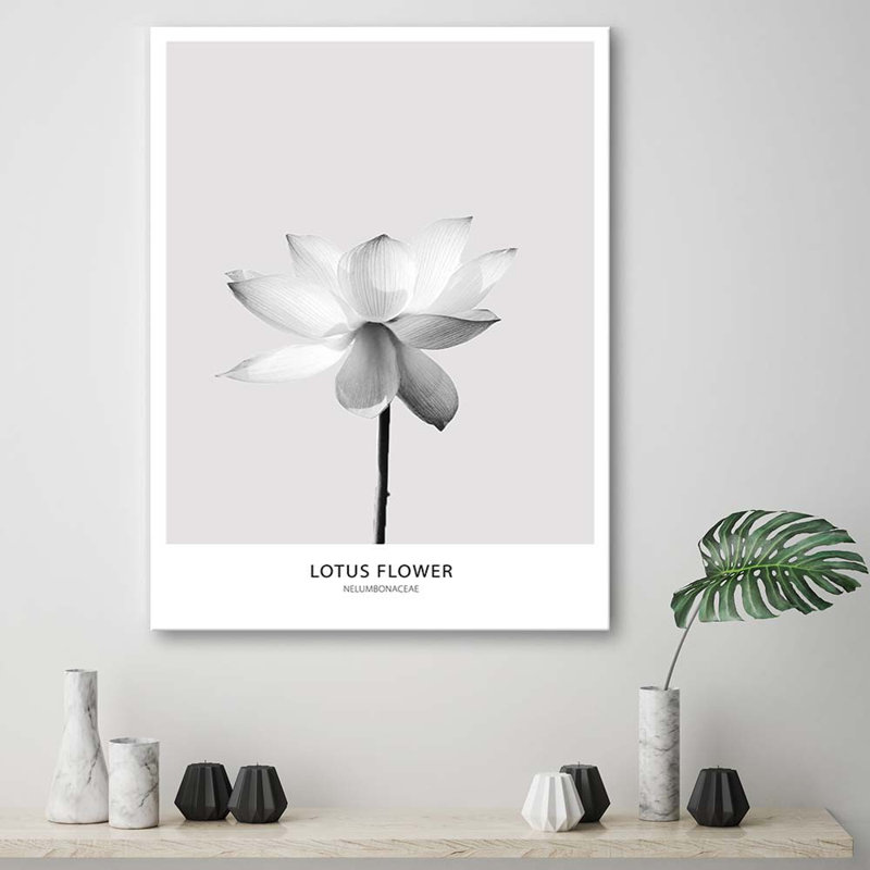Picture, White Lotus Flower - No Frame Print on Canvas, 120cm H x 80cm W