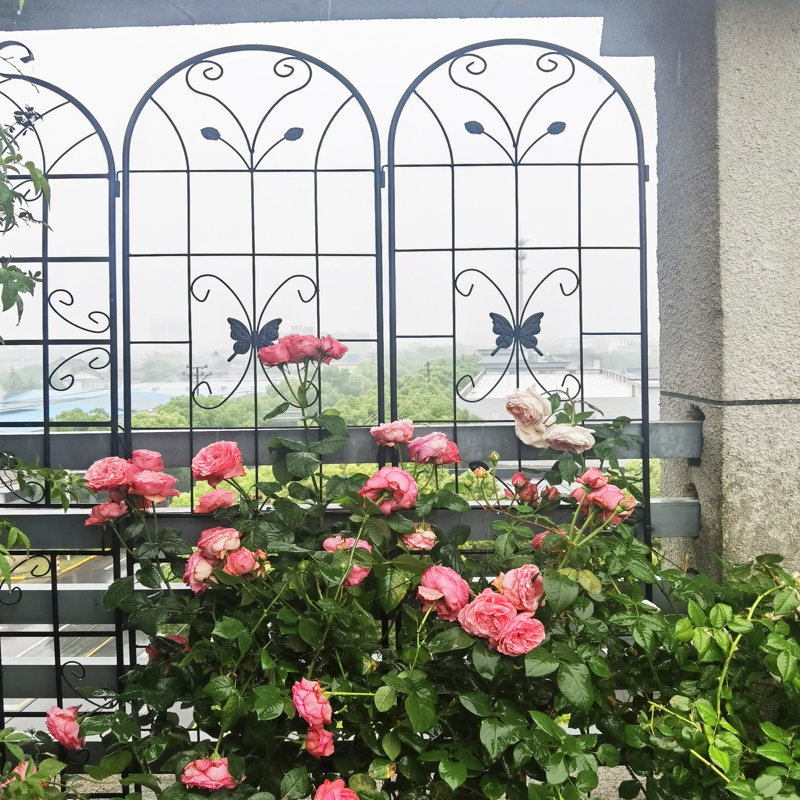 Ensemble de 4 treillis de jardin en métal, 86,7 po x 19,7 po, antirouille, pour plantes grimpantes, noir, Noir