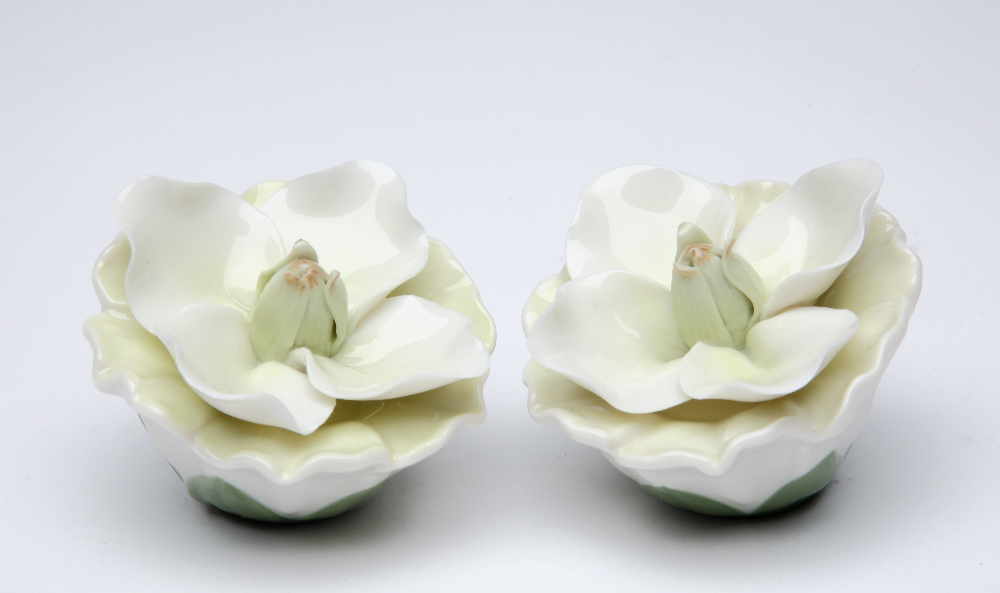 Cosmos Gifts Magnolia Salt and Pepper Set