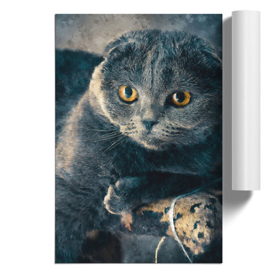 Scottish Fold Cat Painting - Frameless Print